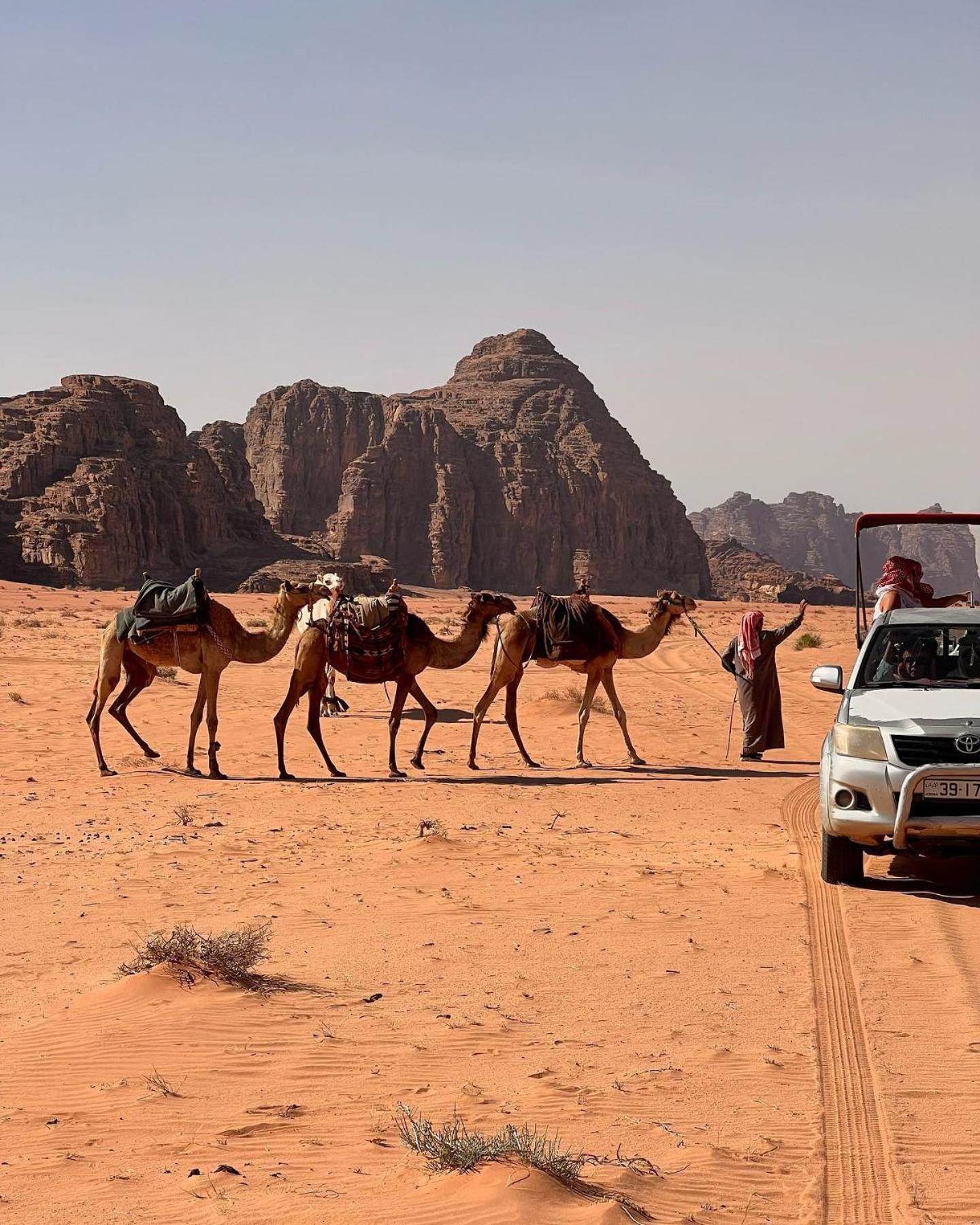 Daniela Camp Wadi Rum Buitenkant foto