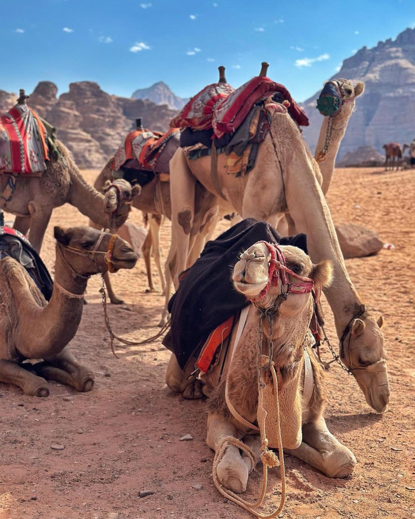 Daniela Camp Wadi Rum Buitenkant foto
