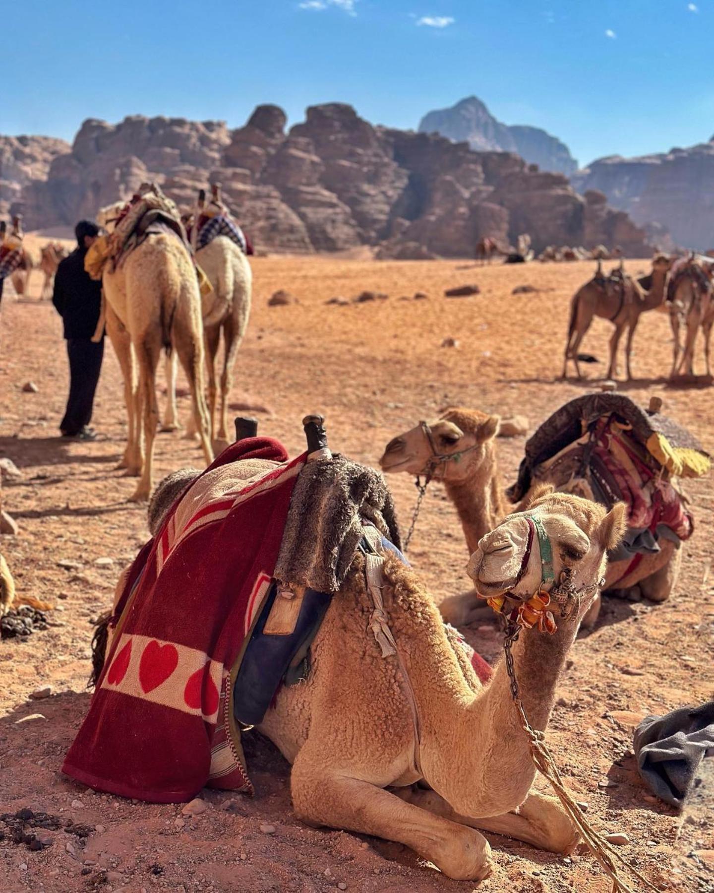 Daniela Camp Wadi Rum Buitenkant foto
