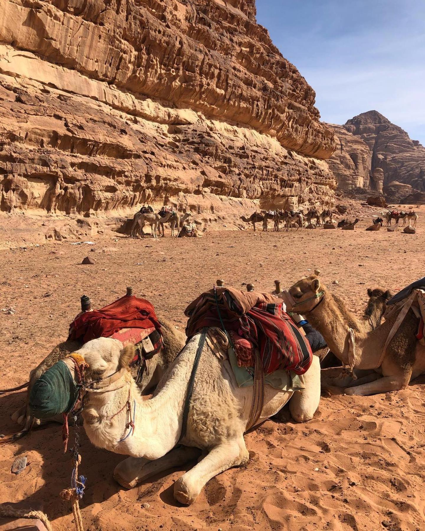 Daniela Camp Wadi Rum Buitenkant foto